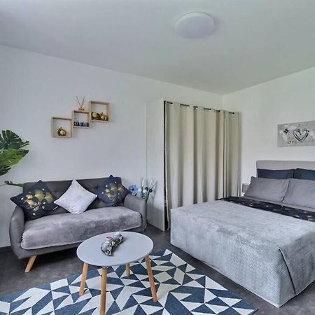 Studio Renov*Fibre*Parking 3 Min Gare De St-Louis Saint-Louis (Haut-Rhin) Exterior foto