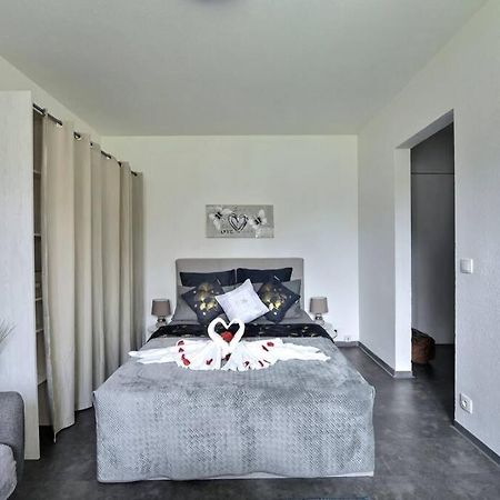 Studio Renov*Fibre*Parking 3 Min Gare De St-Louis Saint-Louis (Haut-Rhin) Exterior foto
