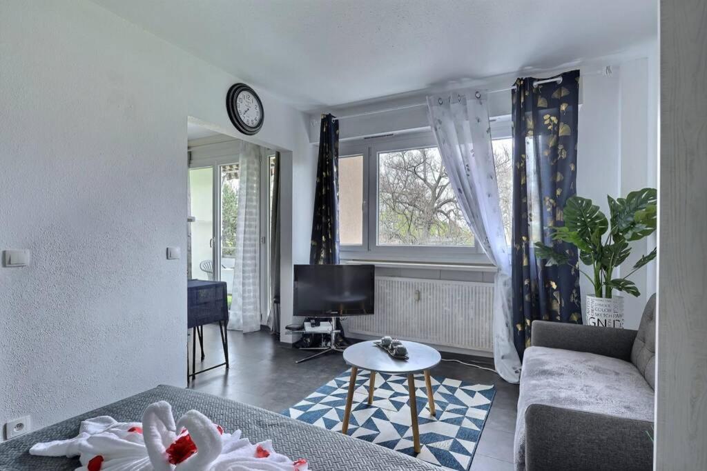 Studio Renov*Fibre*Parking 3 Min Gare De St-Louis Saint-Louis (Haut-Rhin) Exterior foto